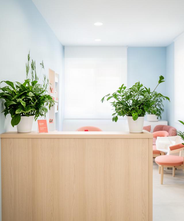 Recepción luminosa de Esteve Vitalidad S.L. en Gandia con mostrador de madera clara y plantas